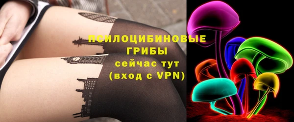 спиды Козловка
