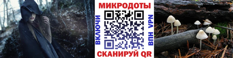 Галлюциногенные грибы Psilocybine cubensis Дубовка