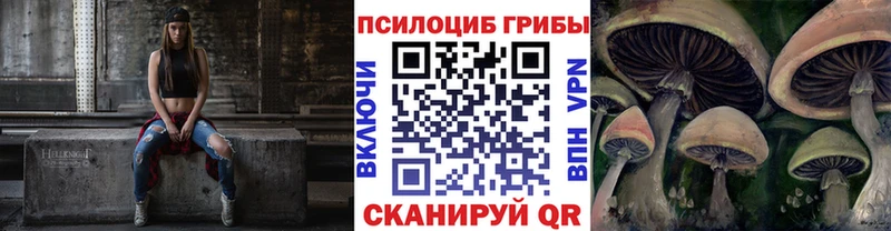 Купить закладки  Дубовка  Псилоцибиновые грибы прущие грибы 